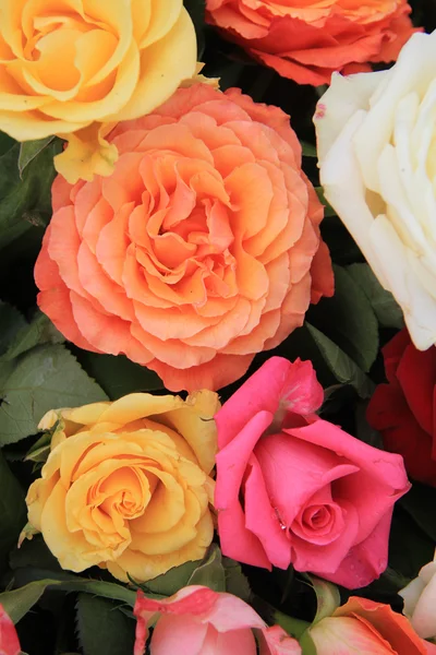 밝은 색상의 장미 꽃다발 — 스톡 사진