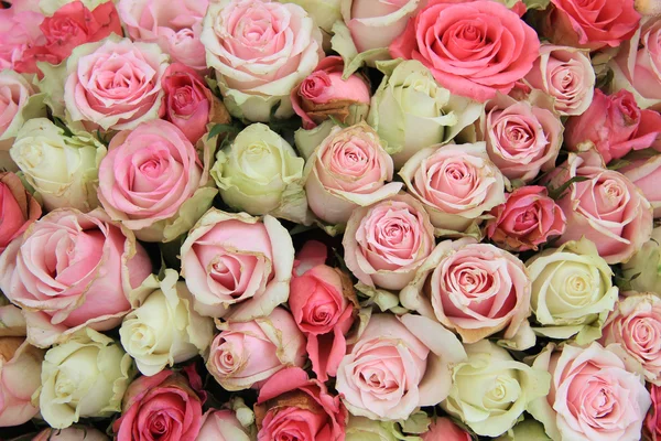 粉红色玫瑰新娘插花 — 图库照片