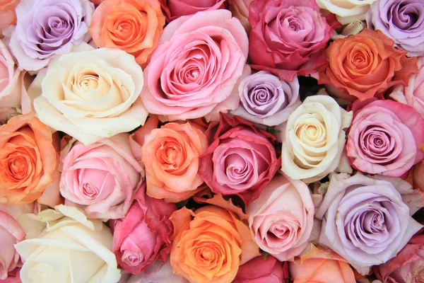 Pastello rosa fiori di nozze — Foto Stock