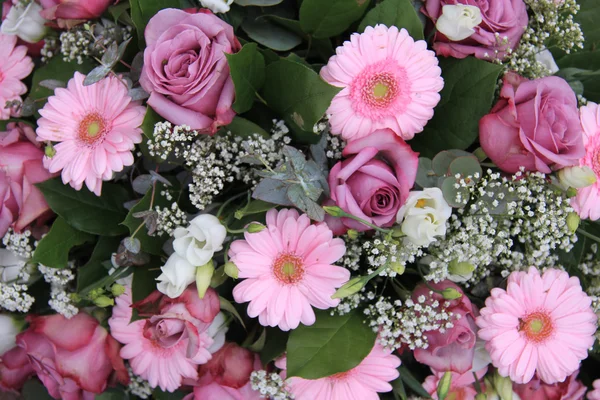 Pink rose and gerbera — Stock Photo, Image