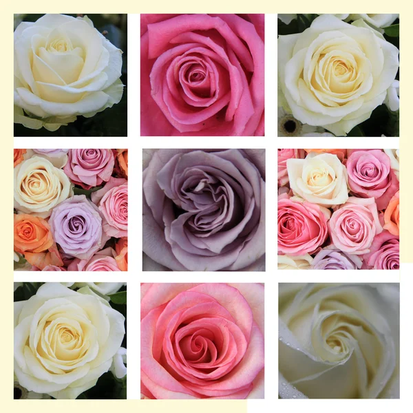 粉彩玫瑰拼贴画 — 图库照片