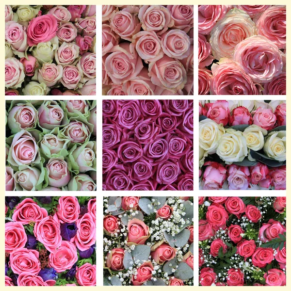 Rózsaszín rózsa kollázs — Stock Fotó
