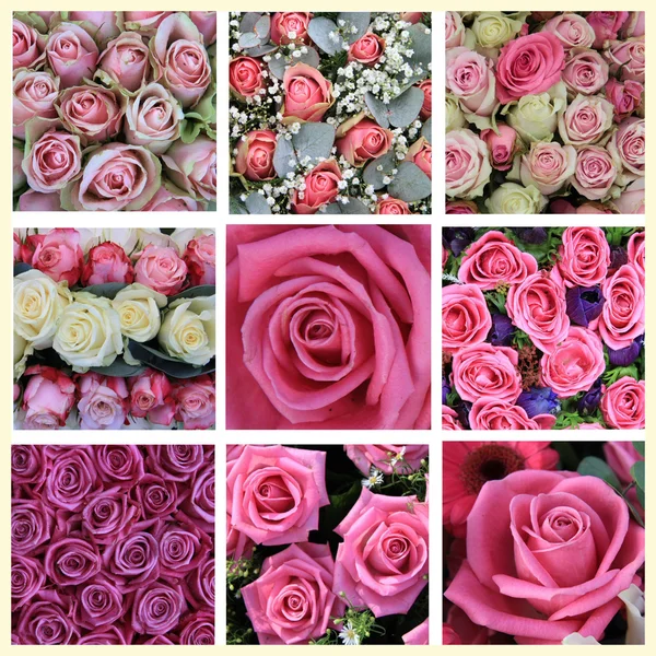 Collage rosa rosa —  Fotos de Stock