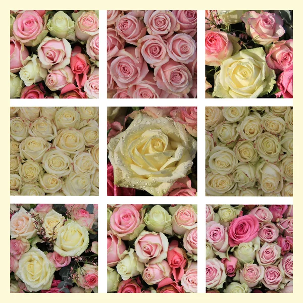 Ρόδινα και άσπρα τριαντάφυλλα κολάζ — Φωτογραφία Αρχείου