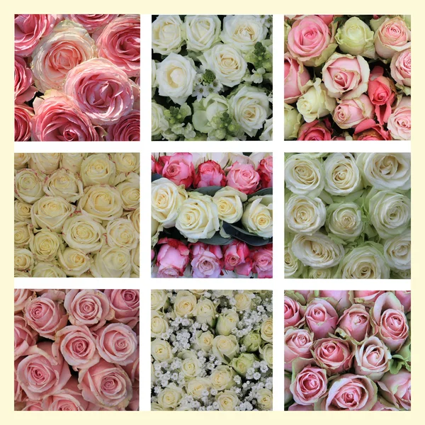 Różowe i białe róże kolaż — Zdjęcie stockowe