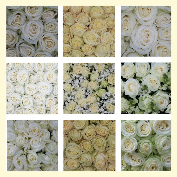 白玫瑰拼贴画 — 图库照片