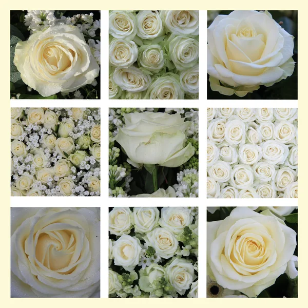 白玫瑰拼贴画 — 图库照片