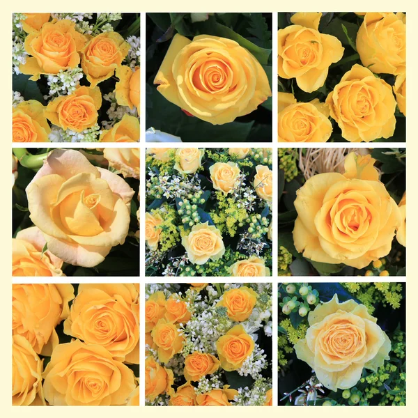 stock image Yellow rose collage