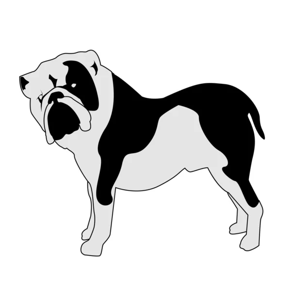 Silueta abstracta Bulldog — Foto de Stock