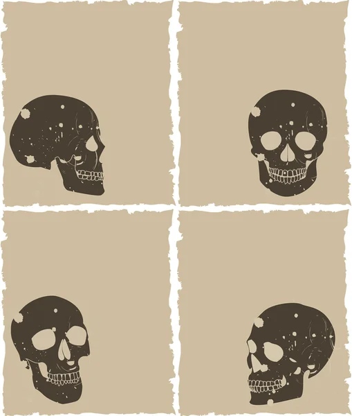 The brown grunge skull set on old paper — Stockfoto
