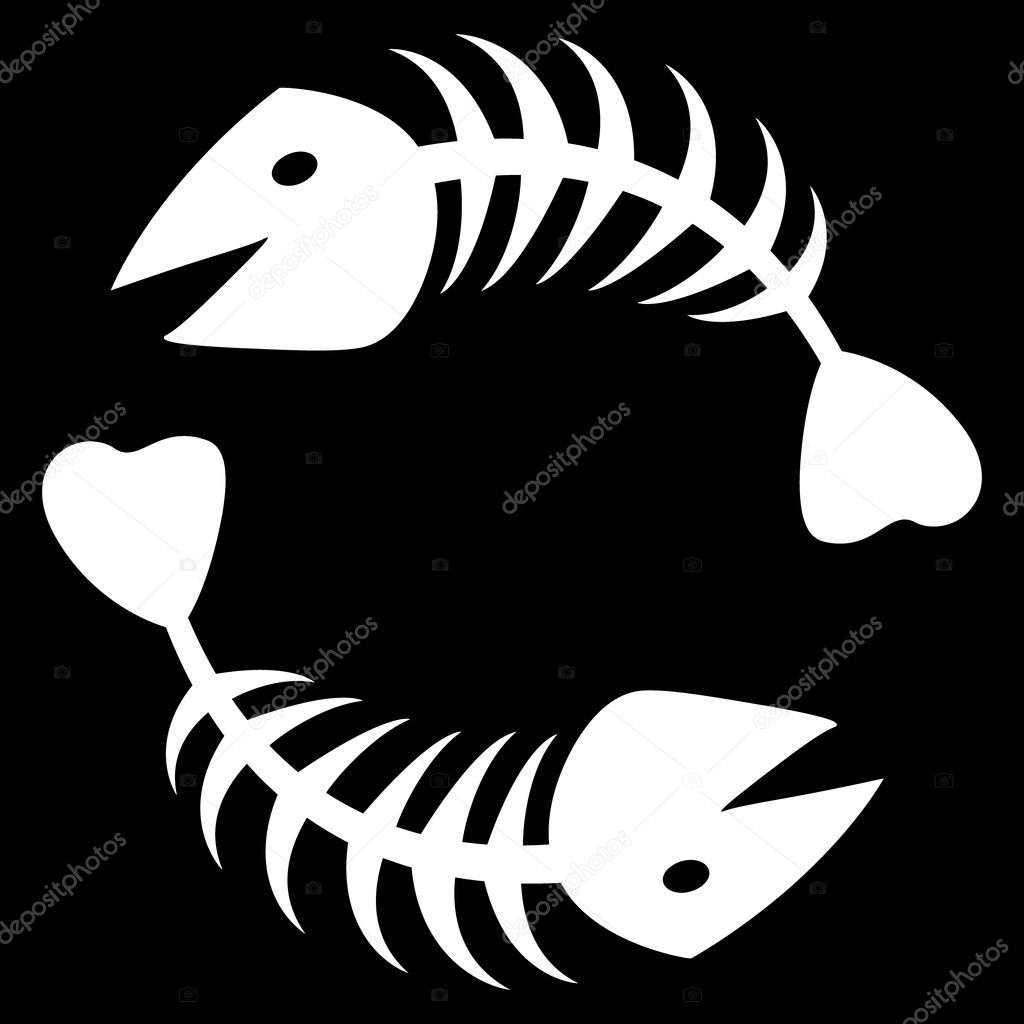 the vector two abstract fish skeleton