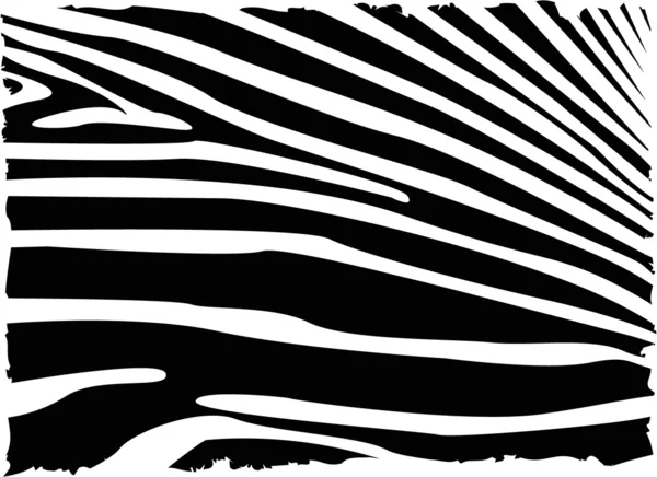 Vecror Zebra abstrakter Hintergrund — Stockvektor