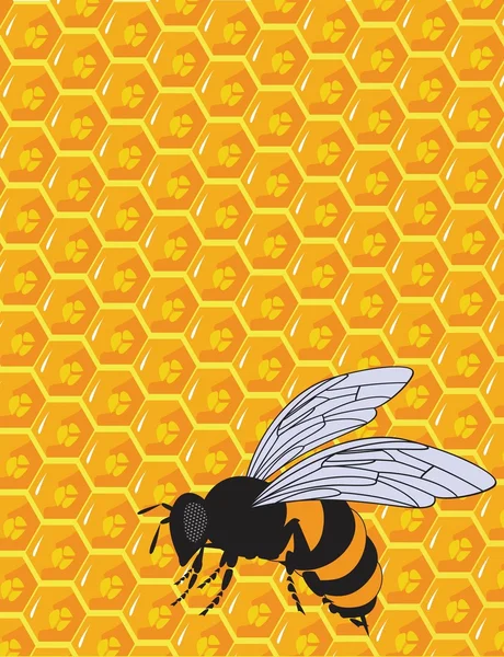 L'ornement vectoriel en nid d'abeille orange et jaune — Image vectorielle