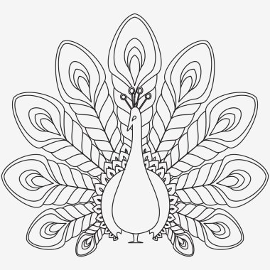 the abstract vector peacock clipart