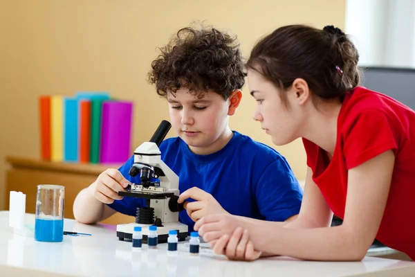Les enfants examinent la préparation au microscope — Photo