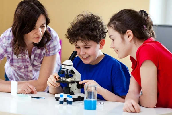 孩子们正准备在显微镜下研究 — 图库照片