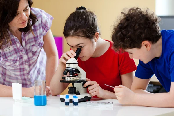 Niños examinando la preparación bajo el microscopio —  Fotos de Stock