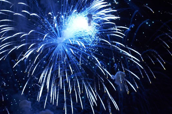 Fuochi d'artificio in onore del giorno dell'indipendenza — Foto Stock