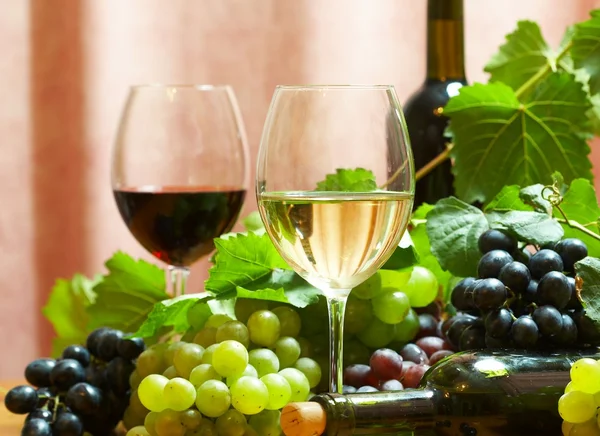 Composição do vinho — Fotografia de Stock