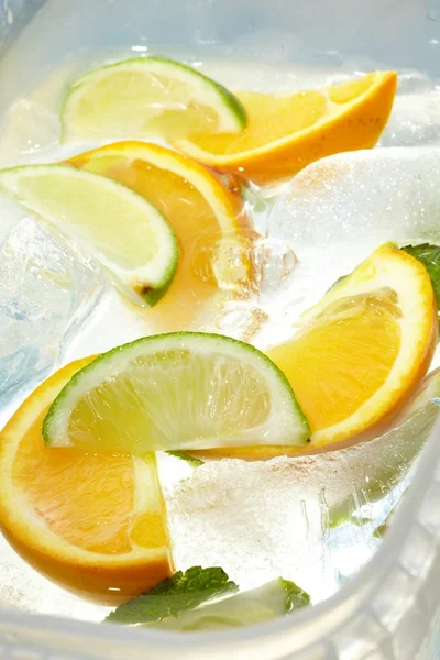 Leaf mint and cut citrus in ice — Stock Photo, Image