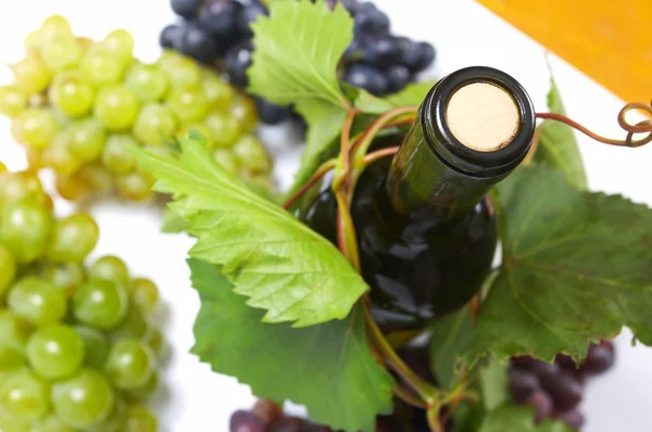 Şarap şişesi ve genç üzüm asma — Stok fotoğraf