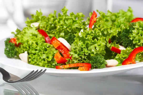 Salat — Stockfoto