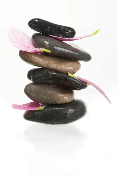 Equilibrio di pietre e petali — Foto Stock