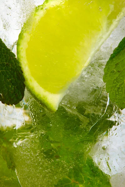 Bladmynta och skuren citrus i is — Stockfoto