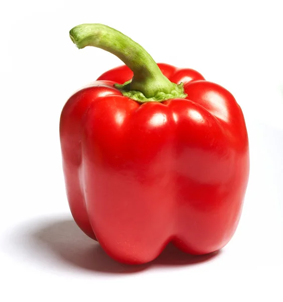 Stock image Pepper