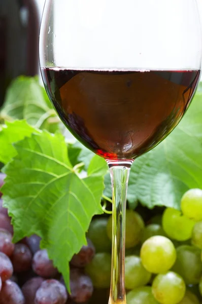 Composición del vino — Foto de Stock