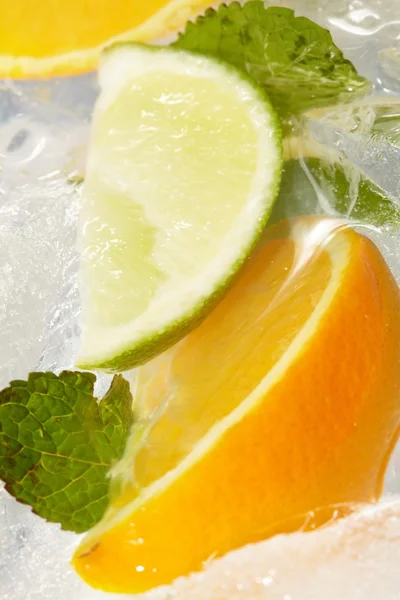 Máta listová a nakrájený citrus v ledu — Stock fotografie