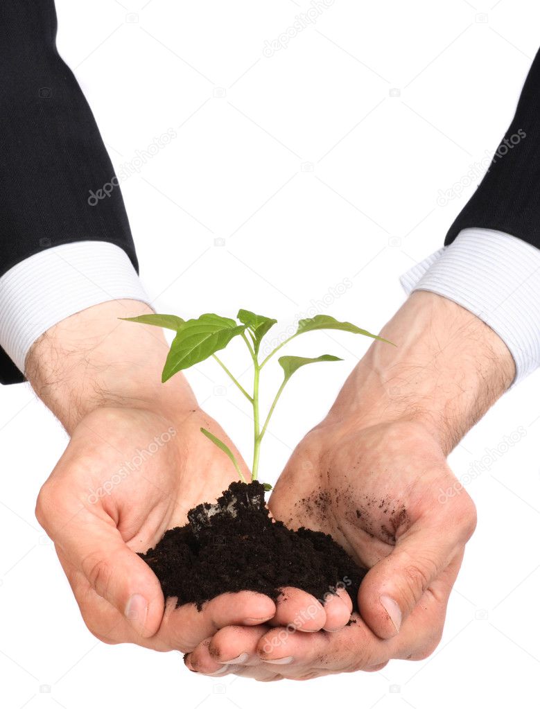 Business men a plant