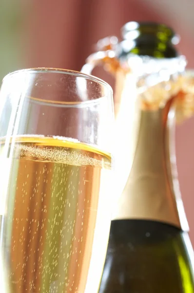 シャンパンとグラス — ストック写真