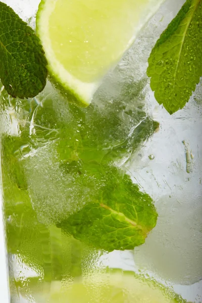 Leaf mint and cut citrus in ice — Stock Photo, Image