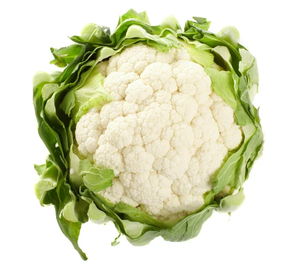 stock image Cabbage