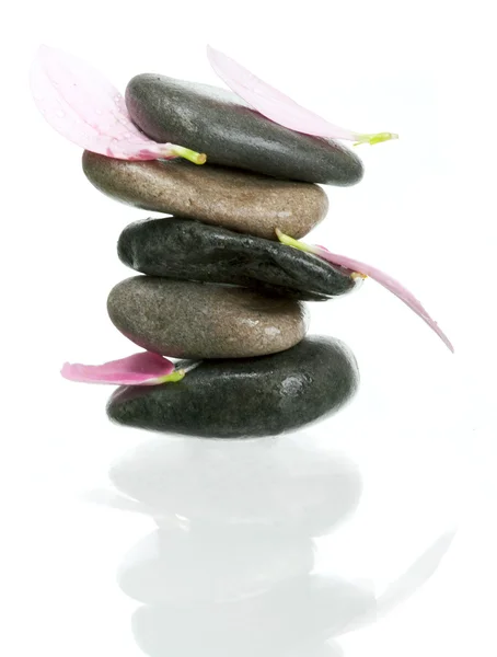 Ισορροπία του πέτρες και πέταλα — Φωτογραφία Αρχείου