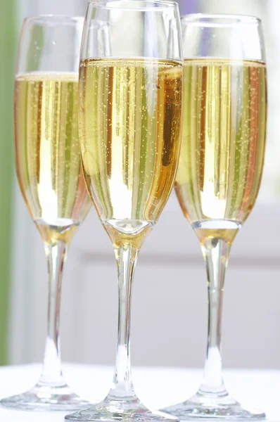 Champagne og glass – stockfoto