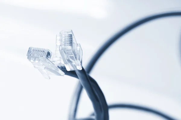 Netzwerk- und Patchkabel — Stockfoto