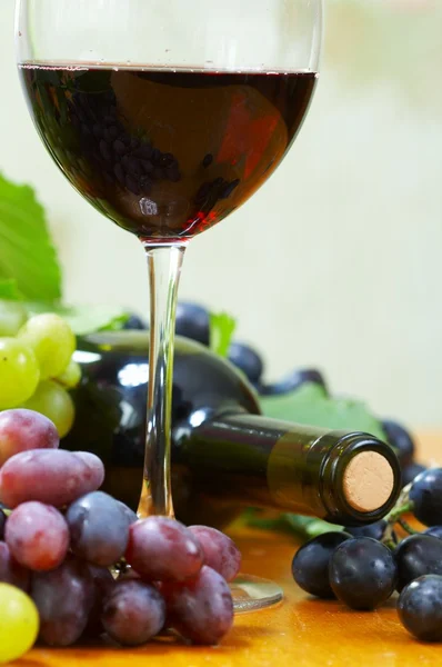 Složení vína — Stock fotografie