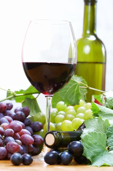 Composición del vino — Foto de Stock