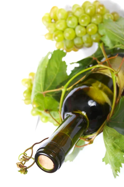 Botella de vino y uva joven — Foto de Stock