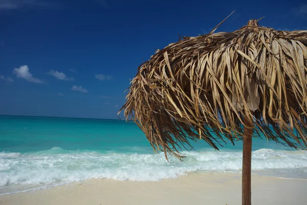 Op een tropisch eiland, reizen achtergrond, cuba — Stockfoto