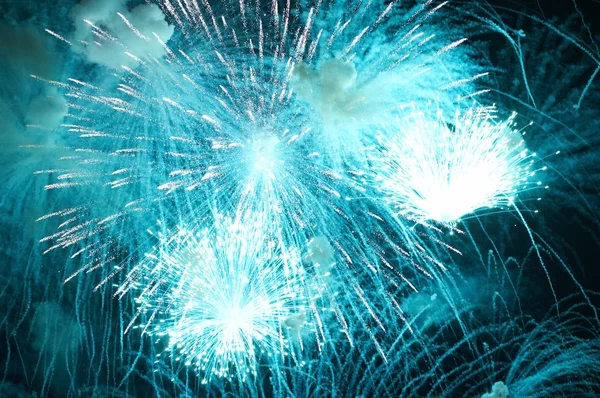 Firework in honor of Independence Day — Stock Photo, Image