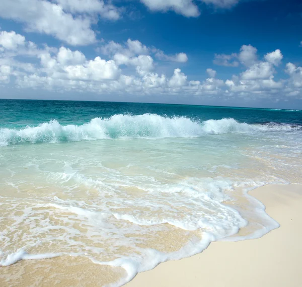 Het strand — Stockfoto