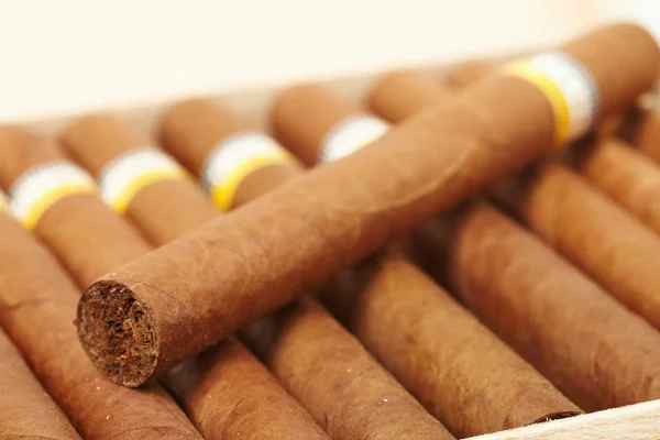 盒古巴雪茄 — 图库照片