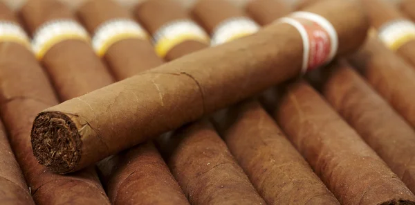 Caja de cigarros cubanos —  Fotos de Stock