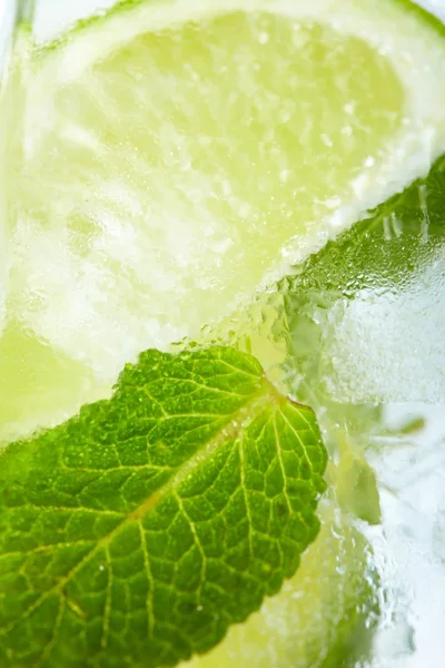 Leaf mint and cut citrus in ice — Stock Photo, Image