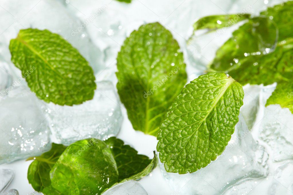 Leaves of mint in ice