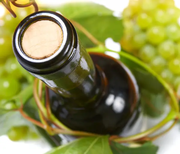 葡萄酒瓶和年轻的葡萄树 — 图库照片