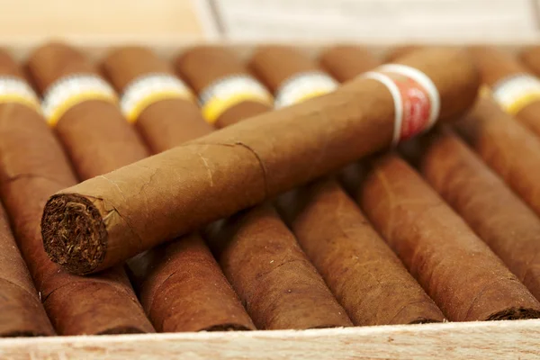 Caja de cigarros cubanos —  Fotos de Stock